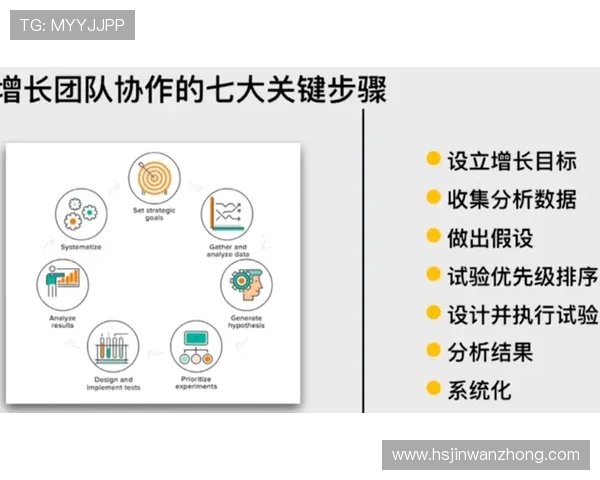 以knight中路为核心探讨团队协作与版本格局变化